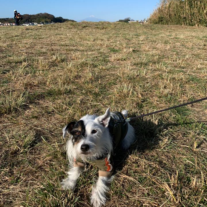 Fdbc49ac b1cd 4417 ab2f 962e944e2a9d 1701217585354