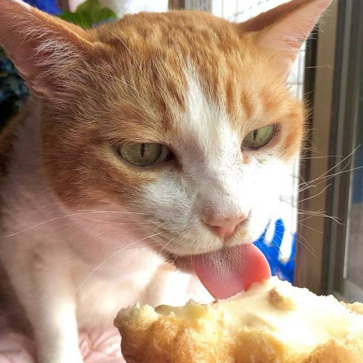 Fdbc6b2a 1825 47c2 a773 76c97bd1b62f 1737188189228