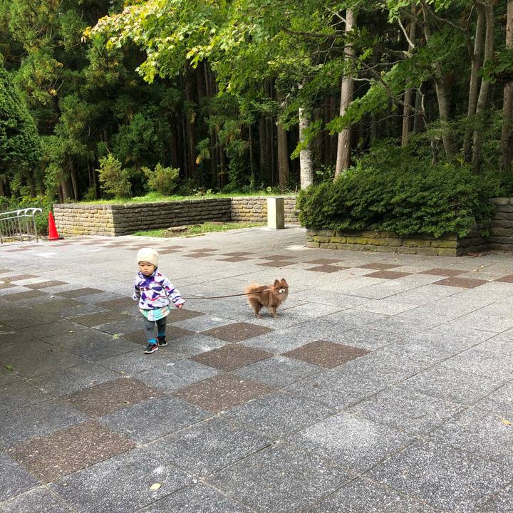 Fdbc72f5 178a 480d 9233 889c256336dd 1602554978892