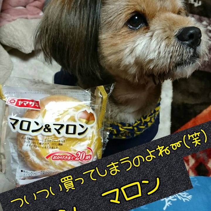 Fdbc9332 9870 4c97 a490 54702f956fcd 1543142941303