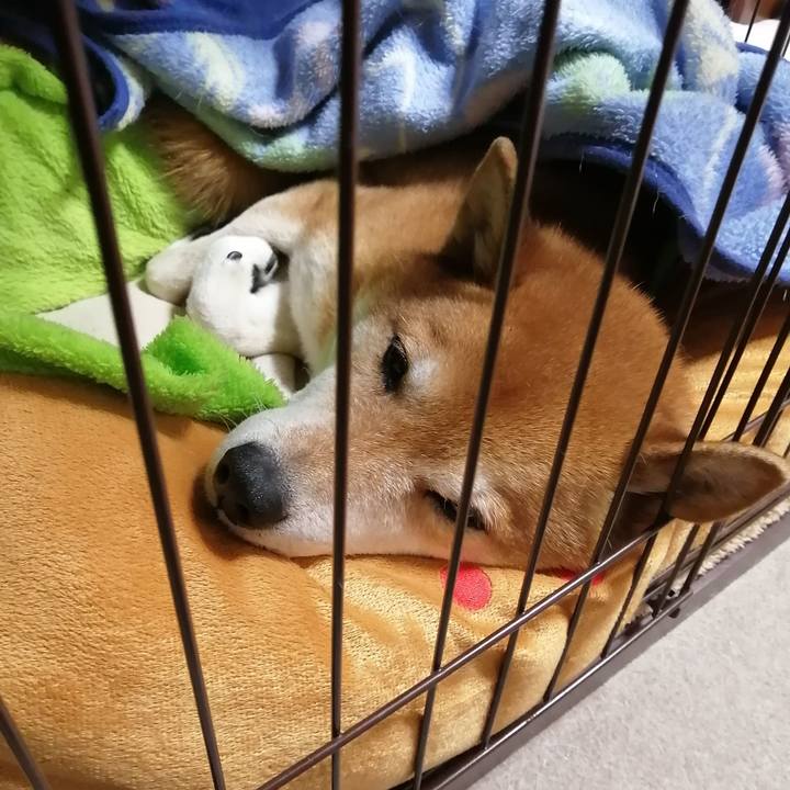 Fdbca400 6126 4a70 91d9 8b09123c9879 1677506889967