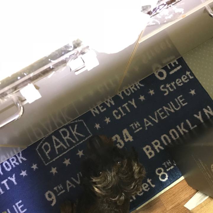 Fdbcc9d9 5dd2 4278 b98b e9e521912a47 1538480201377