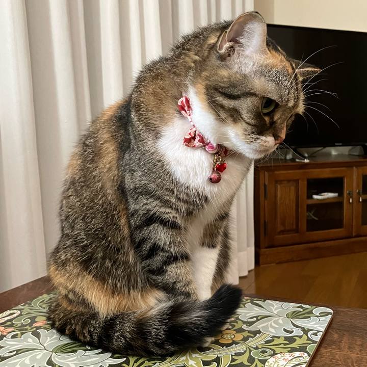 Fdbcda1d 6edf 4a9b b1e9 539bd0ad76ef 1759837319813