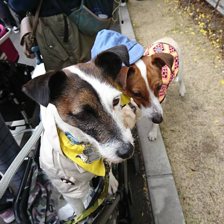 Fdbce935 7973 4ee6 85bd 1f2f6d38627c 1553820420239