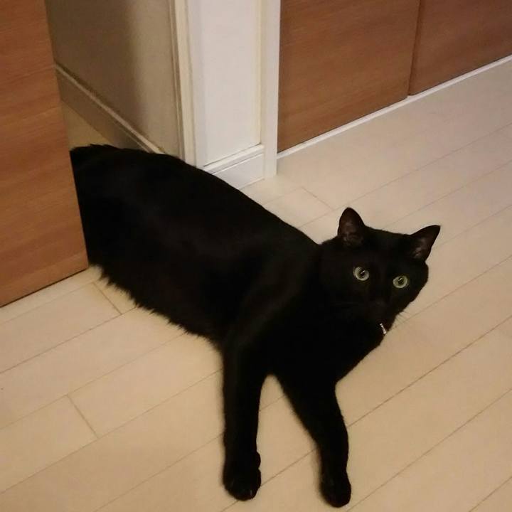 Fdbcfa05 e948 4bee 8939 1c297f9b1f7f 1533382684524