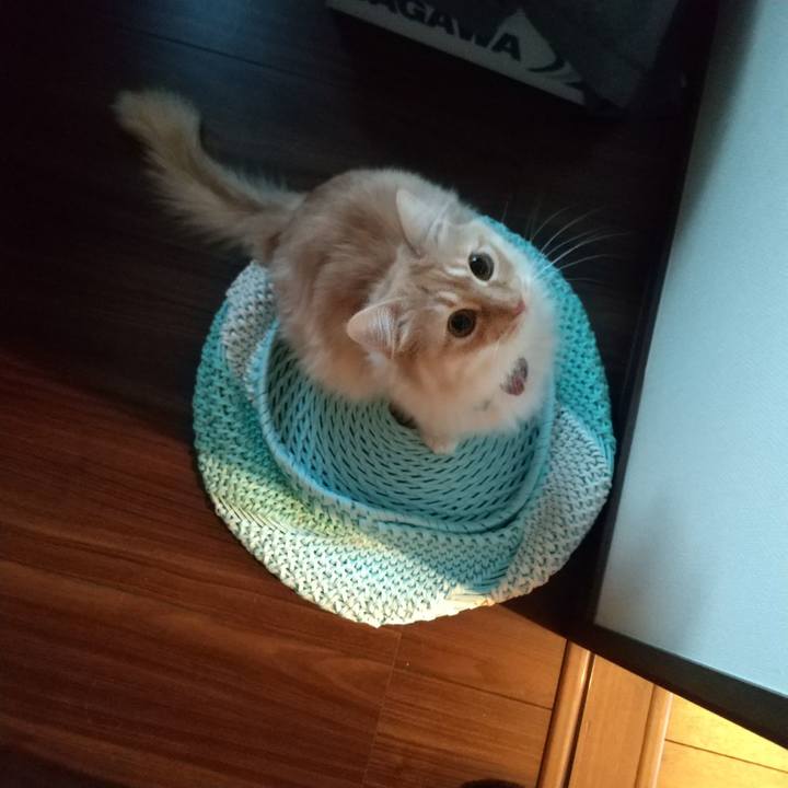 Fdbd6caa 126f 4268 bec4 ce569e53d588 1646177010779