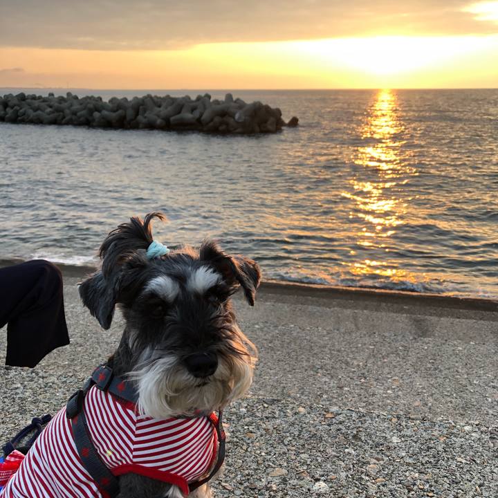 Fdbd6dae 12b7 4b8f 9236 da731bde97cd 1684585752524