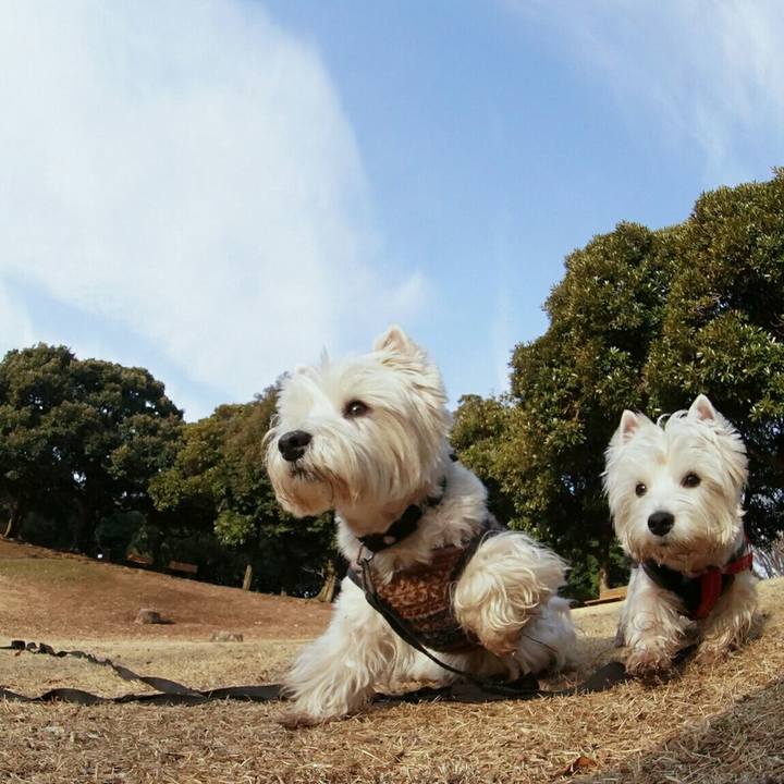 Fdbd881a f111 4d12 ad79 45936b80e96b 1519865021626