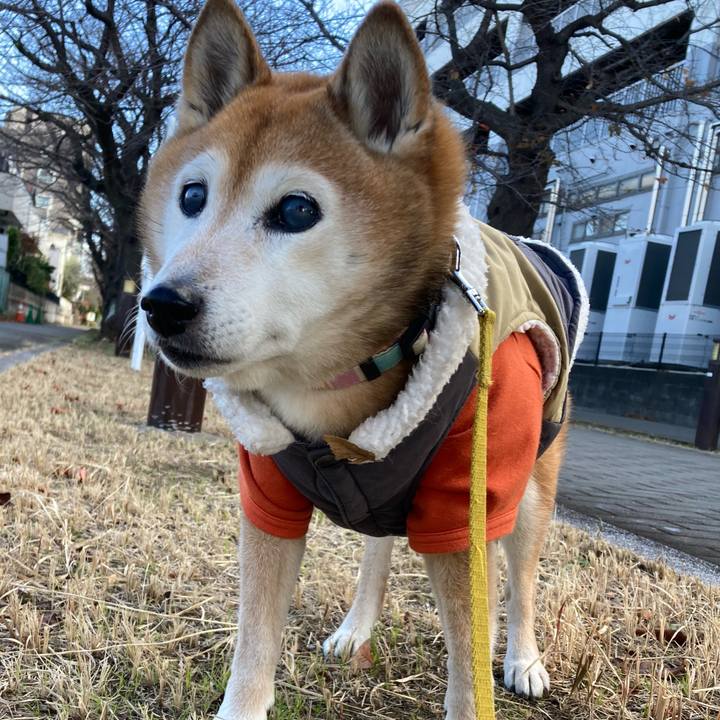 Fdbd905f 4fa4 4446 b7ff f9565dc51227 1765252900718