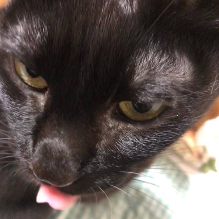 Fdbd93bc a4b2 4a75 995b 5ae3428095ff 1737553913055