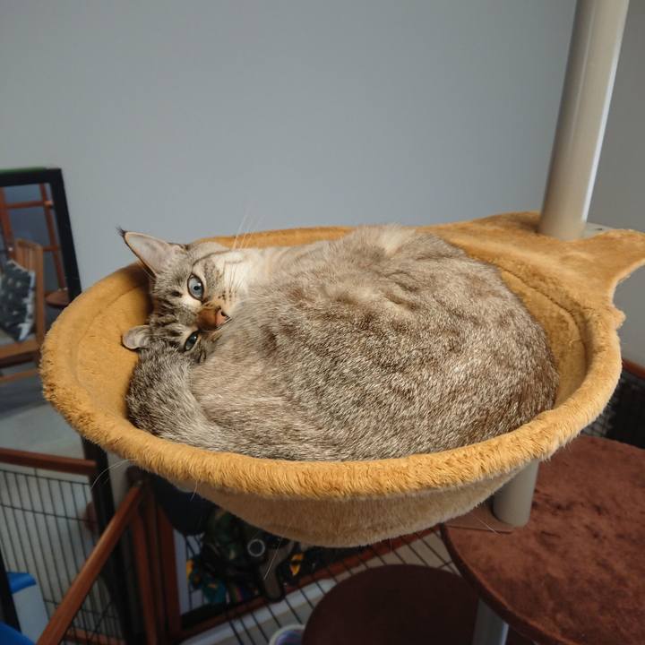 Fdbda361 414e 4edb beb1 2bb83be2f68e 1546657951149