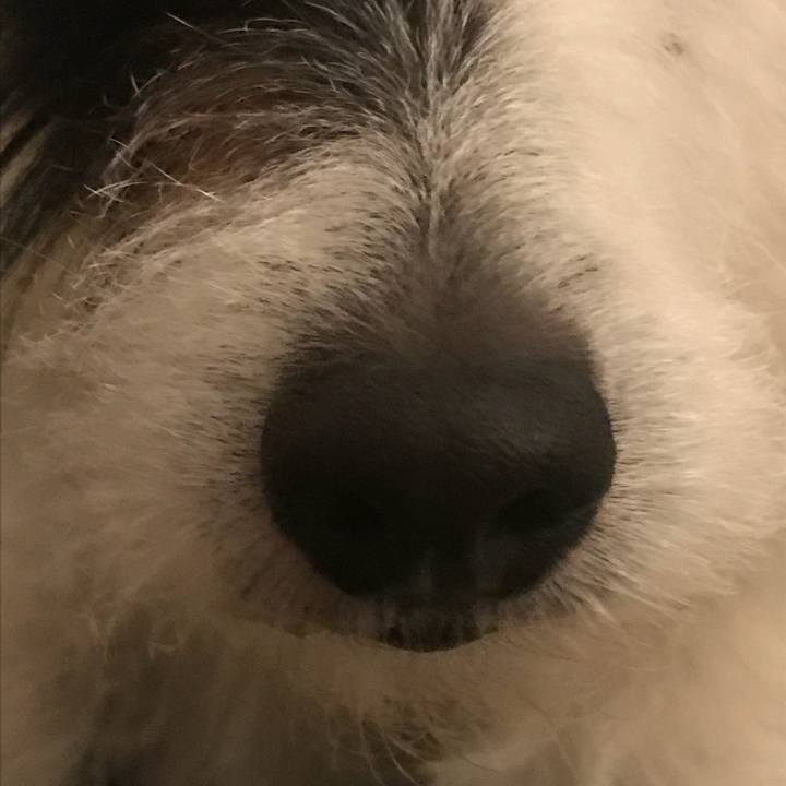 Fdbda464 2644 440b 8547 8f1b29d6194c 1523532295010