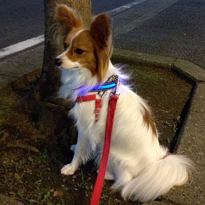 Fdbdc189 a9ef 46fd 9901 4a77ec49ec99 1632279043582