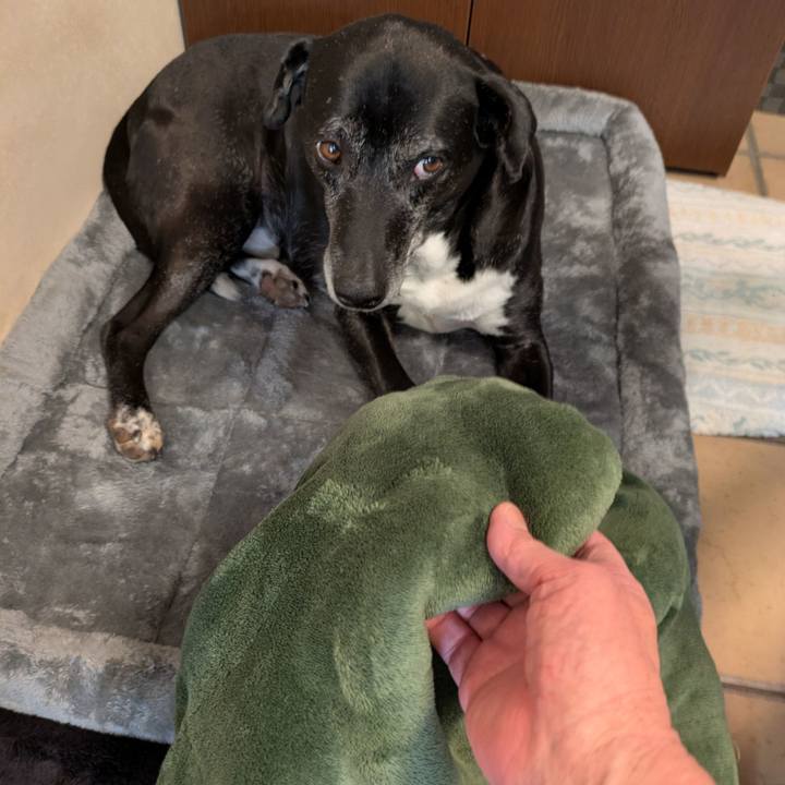 Fdbdfa84 b1c1 4d6c af08 5cf056188476 1766488627094