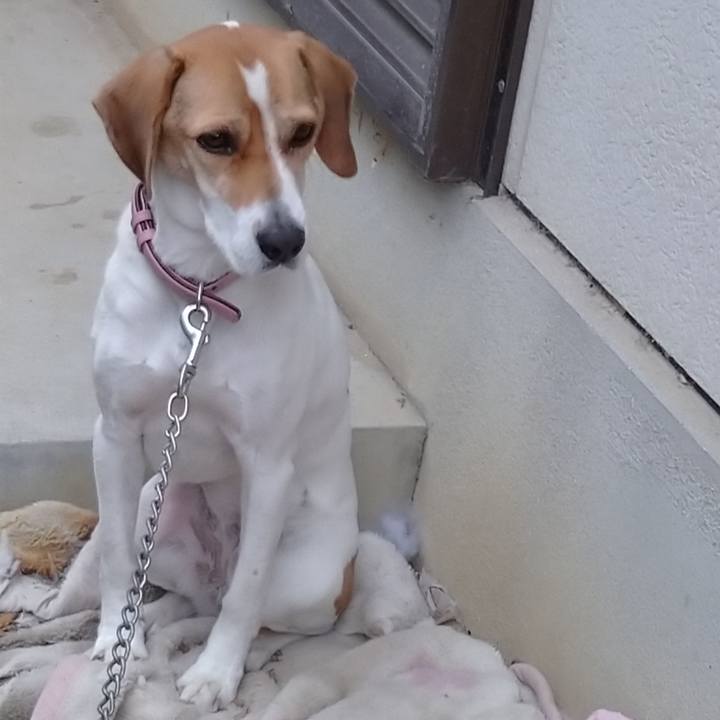 Fdbe0232 3203 41c7 8ca9 242fa56ed51e 1580962329917