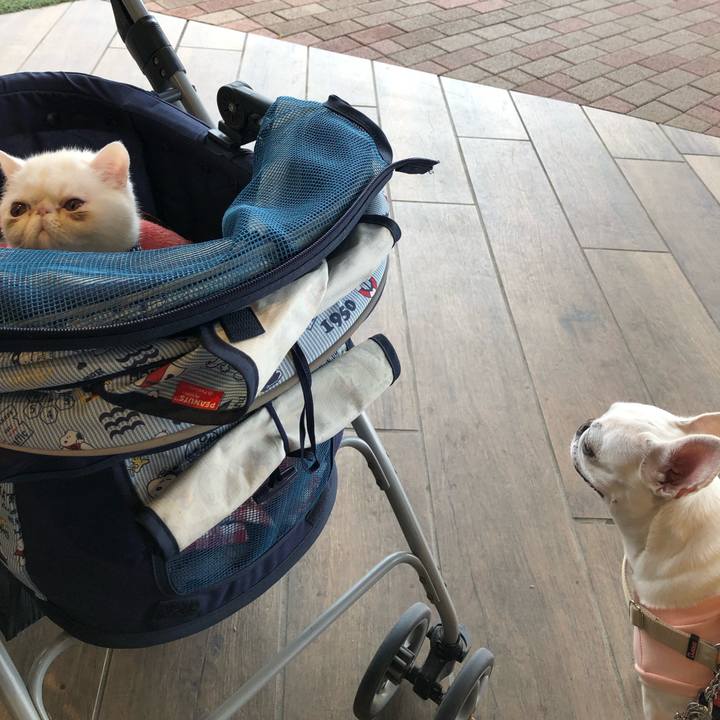 Fdbe20a8 cf2f 48cb bc19 a0ecbd87a4f9 1554011925508