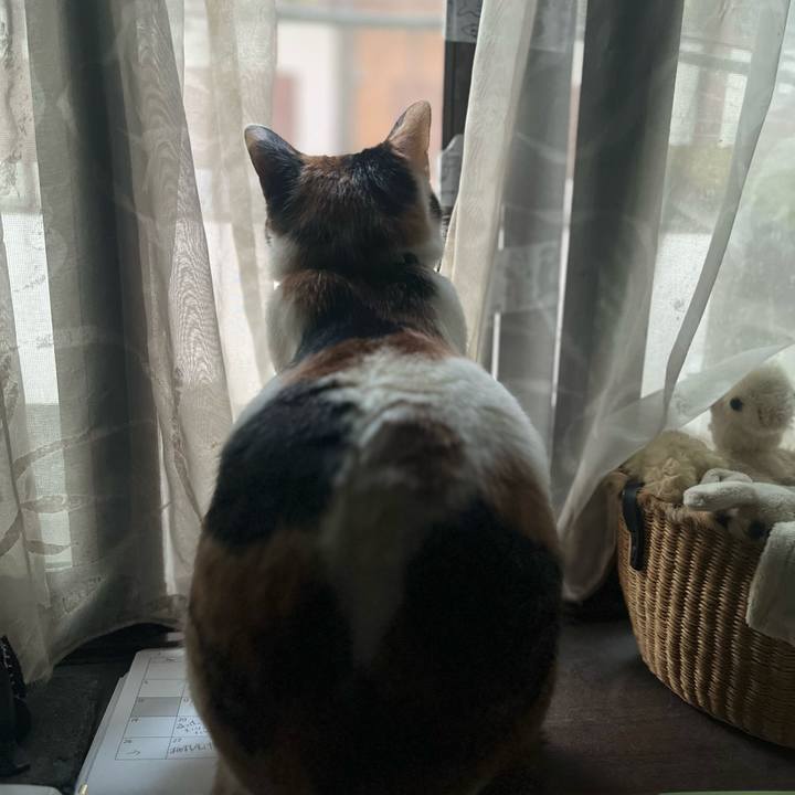 Fdbe3c62 941c 4b4e 870f b4efddf800d3 1770846464346