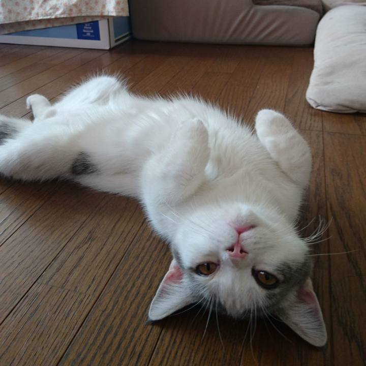 Fdbe45d4 dac5 46b6 97dc 2083251444a1 1536108970576