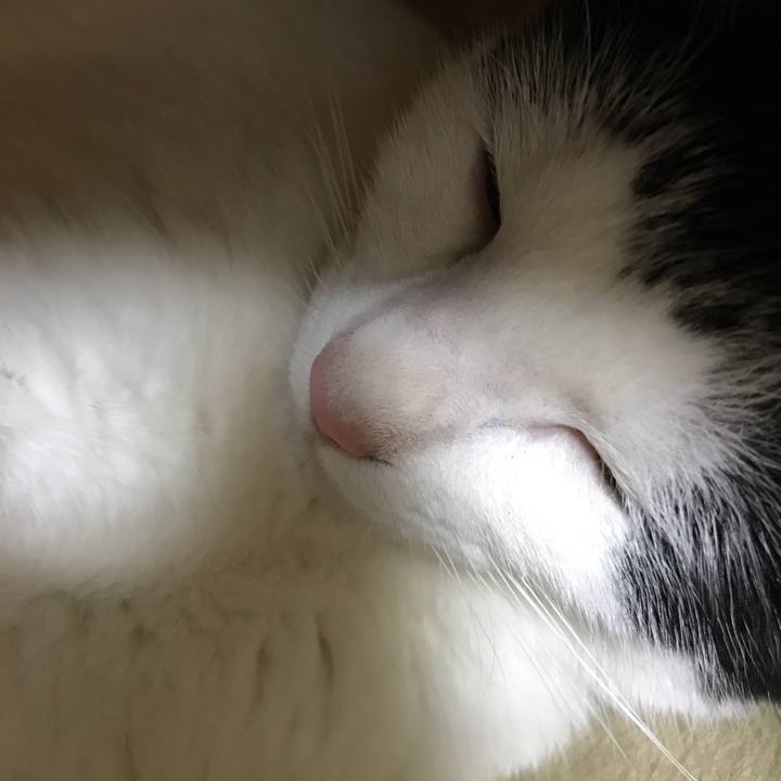 Fdbe66bb a514 4d17 ae6d ac62e3154cdd 1527165881450