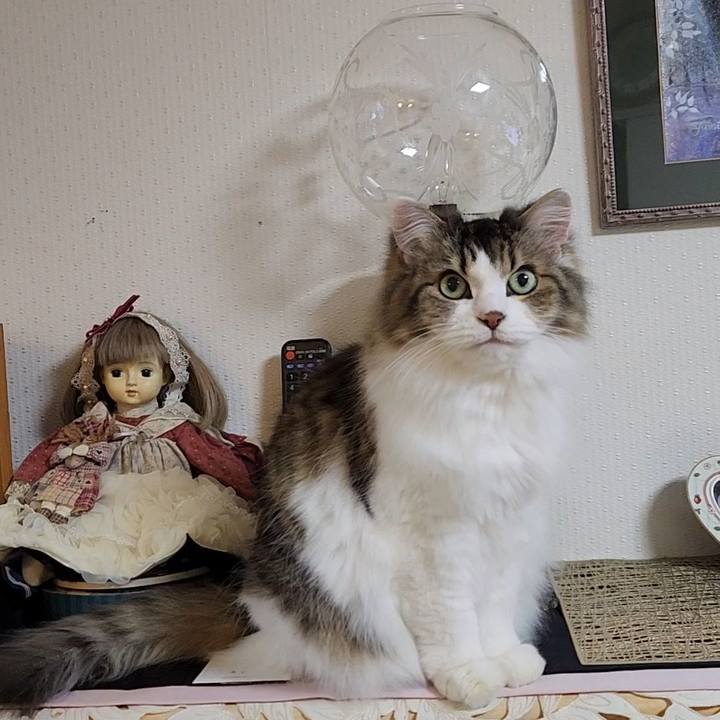 Fdbe6ab2 84ea 4c0f 9f02 38e70b4e9a3d 1735649938936