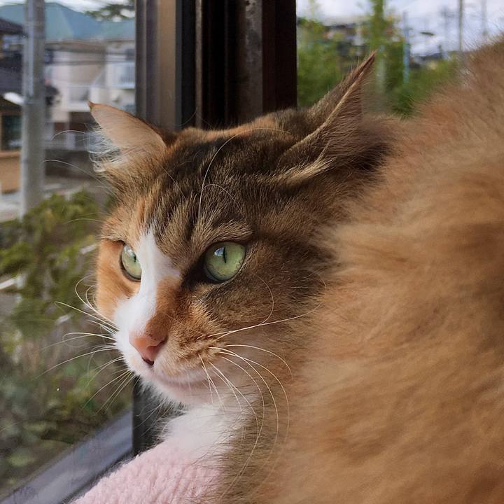 Fdbe8473 101f 4f25 9e5a be69e35654c1 1572609799593