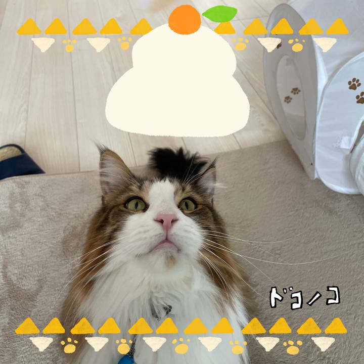 Fdbebd2e 25af 4178 8ffa 9943632d37c5 1704261722127