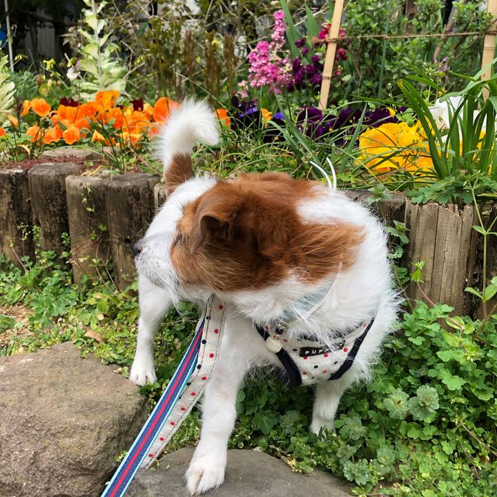 Fdbec4a6 bee1 4375 a00c a1aa32cb8257 1553926538575