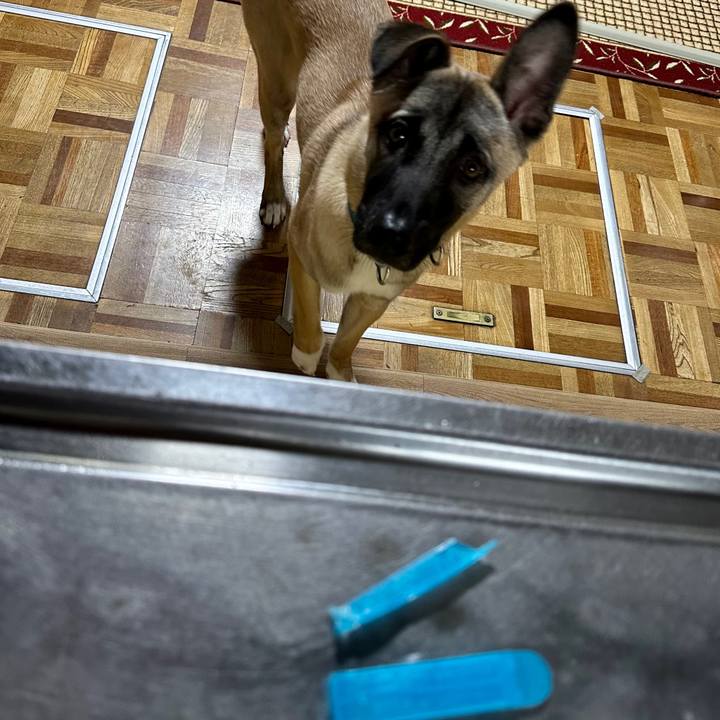 Fdbeca32 de91 41e5 85b0 fe094c2ab017 1707307148841