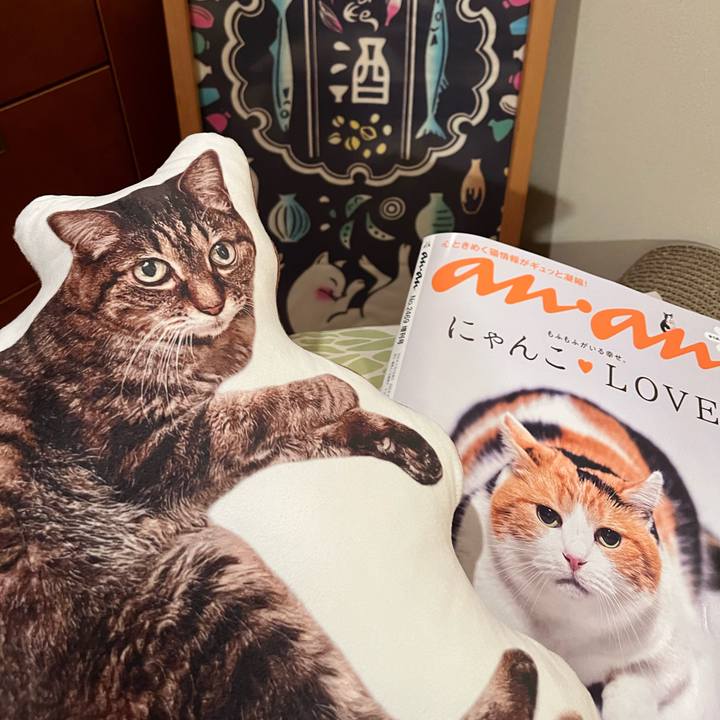 Fdbed836 c996 4e2c 8520 082c5525f304 1762074002667