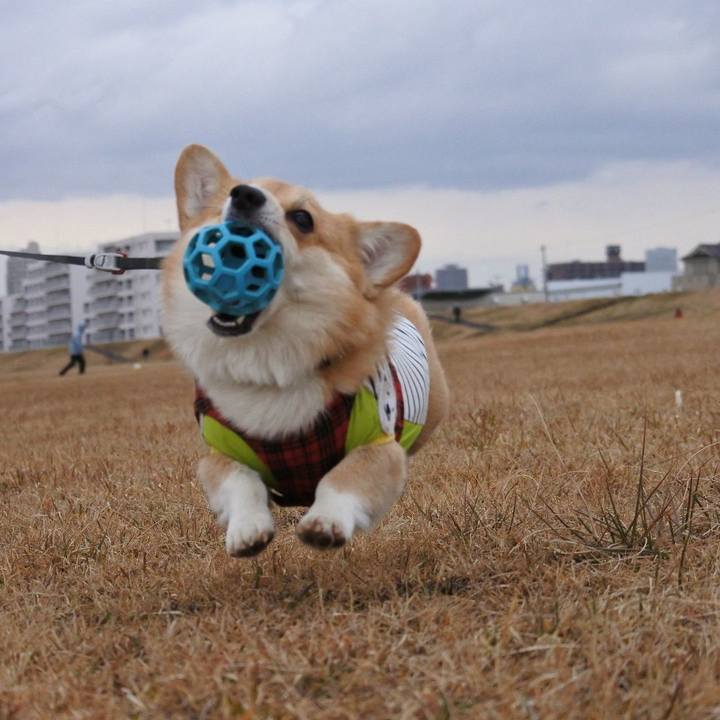 Fdbef145 9ecd 465c 9572 1e3ab7635da5 1579441791839