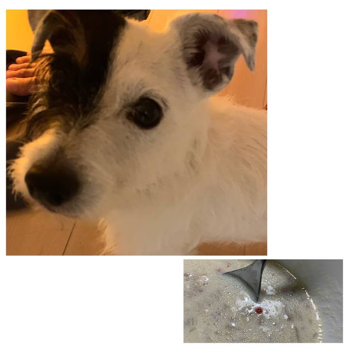 Fdbf1759 ac86 45c1 88ef 5aedc11ecab0 1623926429819