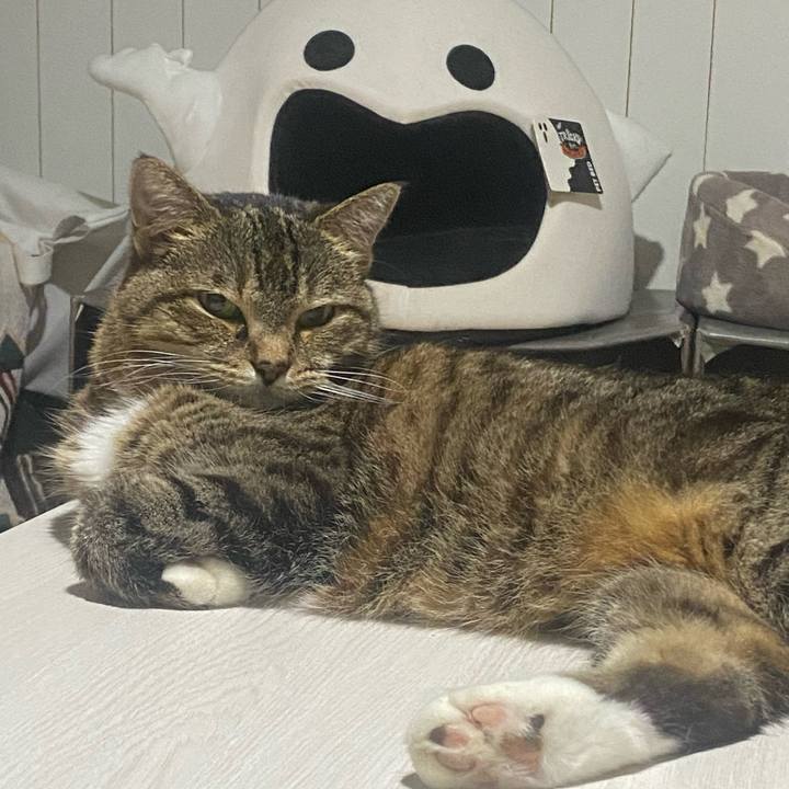 Fdbf364f 114e 4ee8 a080 998ff875774d 1753367981471