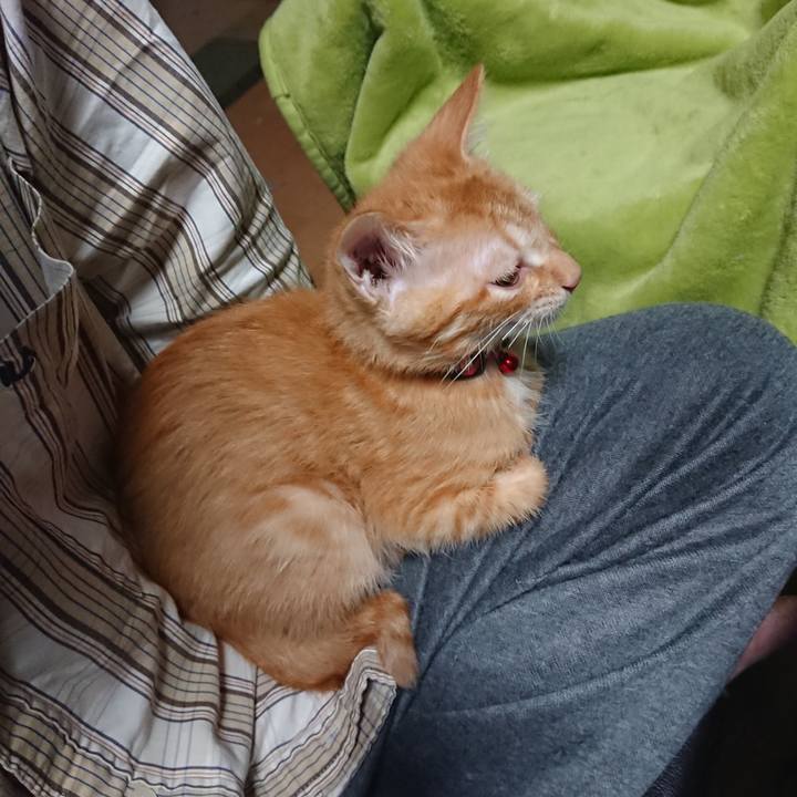 Fdbf751e 9278 4493 b3c8 6ff16a9b07b1 1631739836463