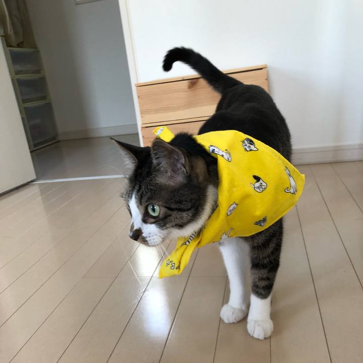 Fdbf98fe 64da 4aa3 b4c0 d9e65f19289d 1528153370597