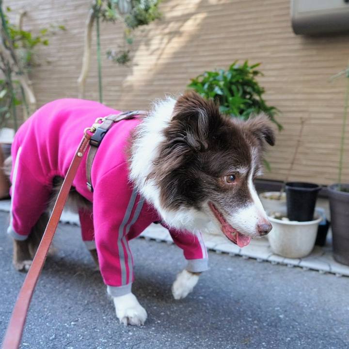 Fdc00178 4f3e 41da 8fed e97567c064c1 1773003896160