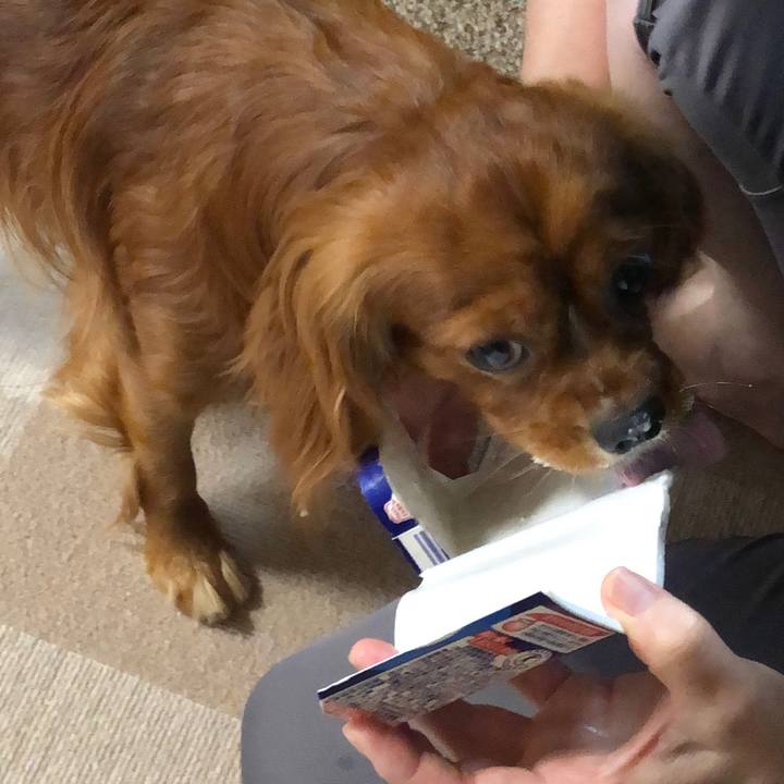 Fdc02b98 ad15 46b6 9156 f0771b01da93 1558996445693