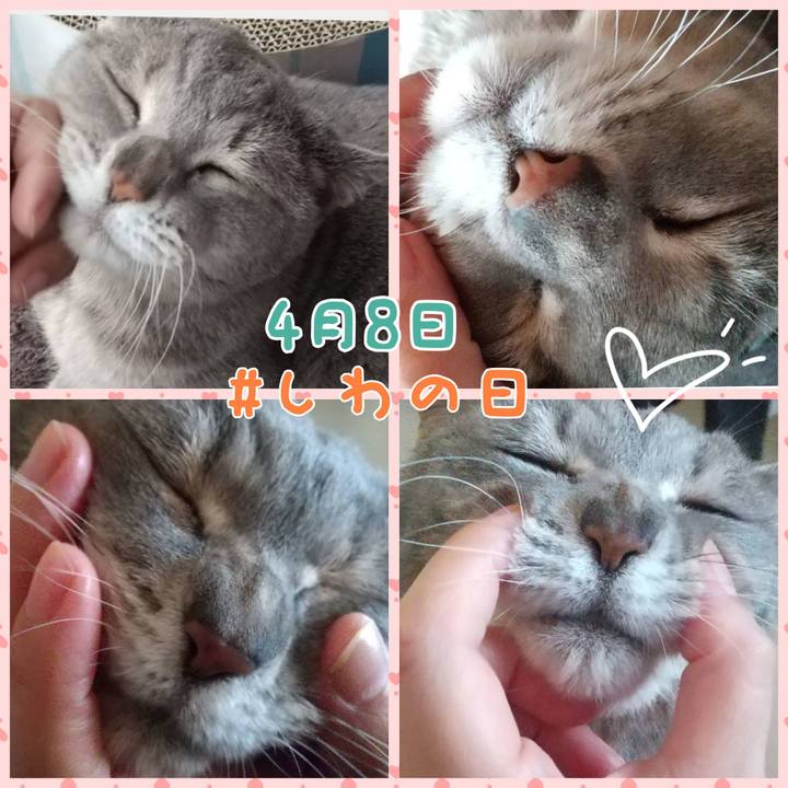 Fdc03fff 3053 48b4 b428 ad099bb4ee91 1744107246563