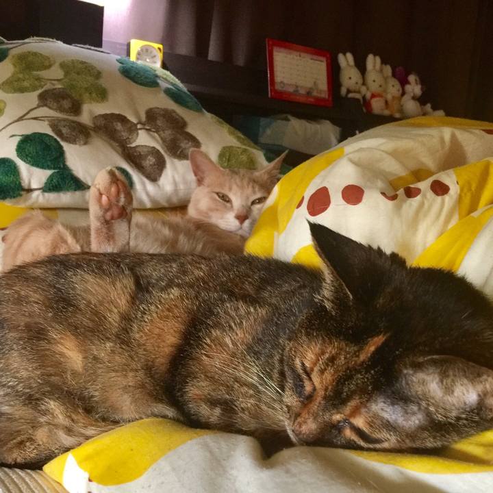 Fdc048fe bb4b 42cc 89fb 2bf607a40547 1557531972224