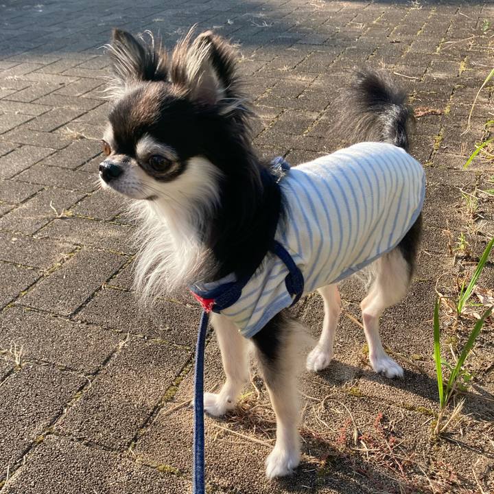 Fdc09a62 a85b 4705 b6ec f99a28514e98 1667482720381