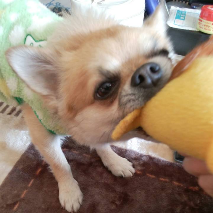 Fdc0c67a 79f1 4011 85ad 4aed4935c4db 1512448816866