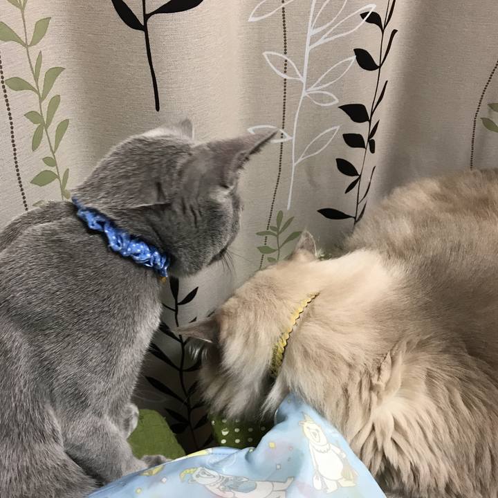 Fdc0f660 7c03 4db4 807e 364fe86cde34 1509708156534