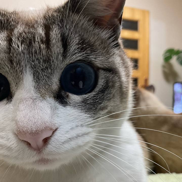 Fdc156f1 e73b 4f74 aebc ec8092d35c5f 1650885202239