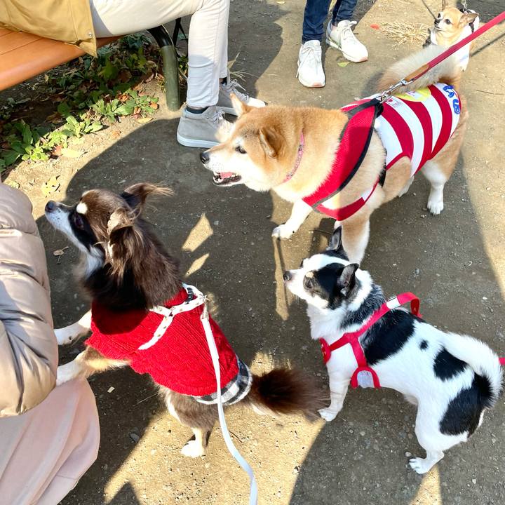 Fdc187e8 d08d 4089 8ecd 9f8bc5feab8f 1606547551325