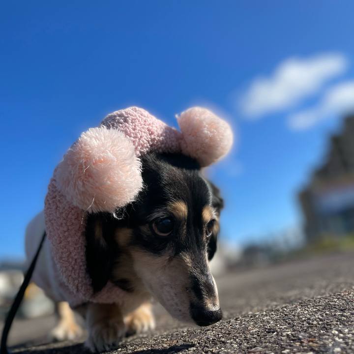 Fdc18b8c 316c 41fb b6b4 4a9201445d9d 1672022006234