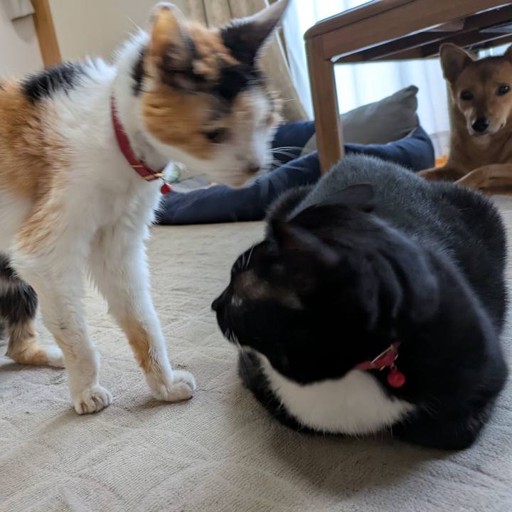 Fdc1bd89 728c 4752 8b59 5330d9824243 1758406538611