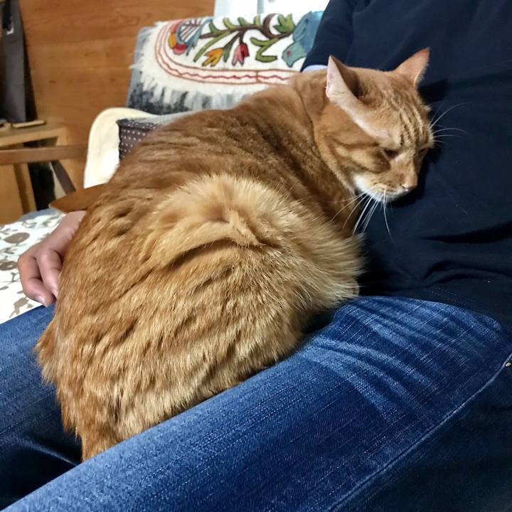 Fdc1cd35 6eb5 467b 9763 b5bda14df24e 1538180529906