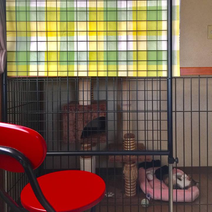 Fdc1e363 0758 4b59 9e20 1efe83e9e5b4 1630393941379