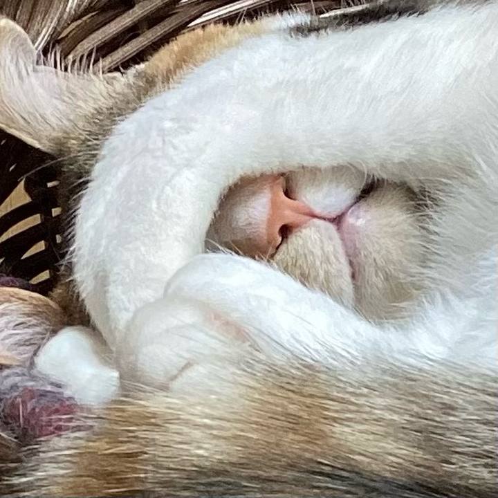 Fdc202bb 397e 469d b209 0538654076c5 1711468443738