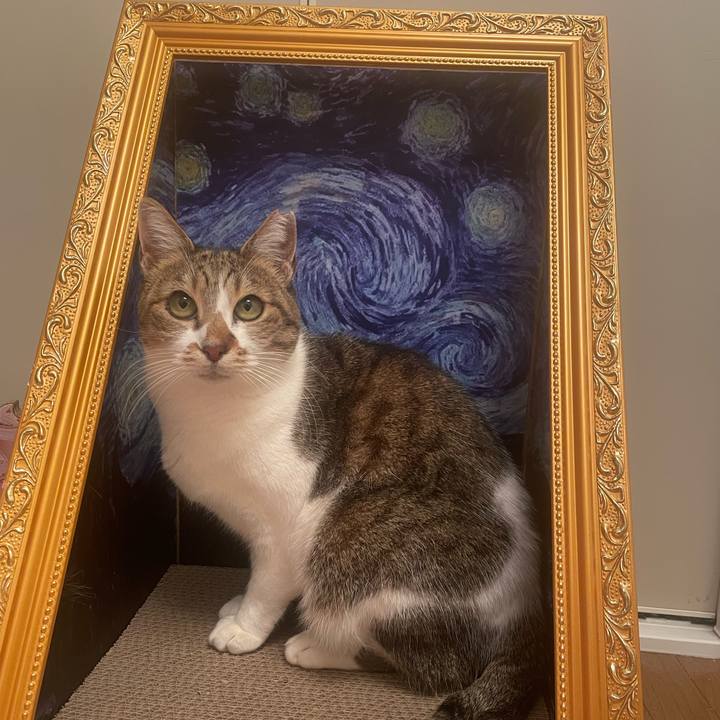 Fdc28a20 e3bd 4225 a37a f5f96e05213c 1738068013123