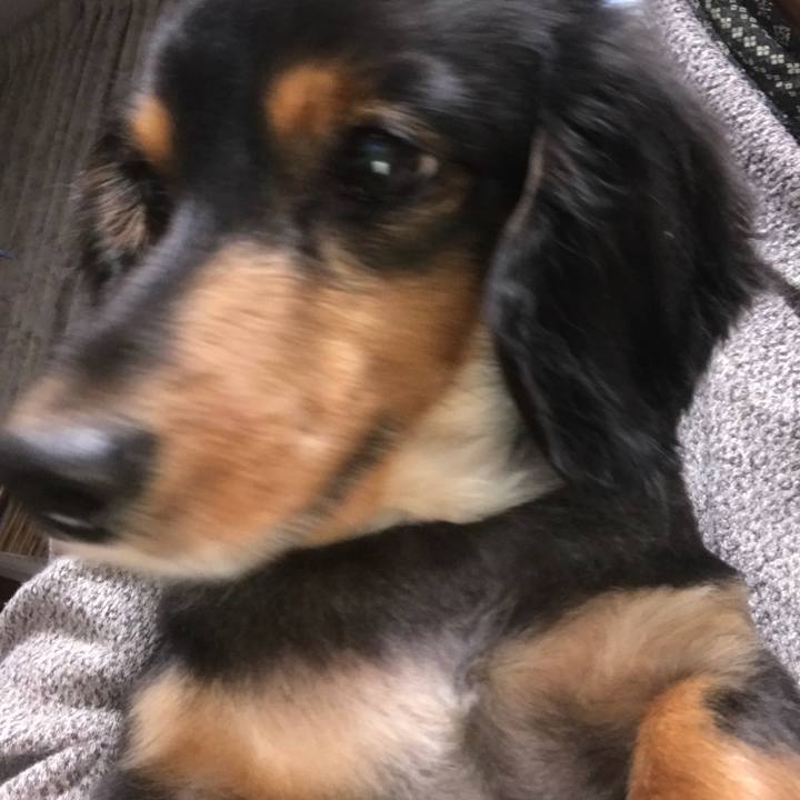 Fdc2b7e7 c56d 4e6c b2d7 1bcf68081963 1508101830285